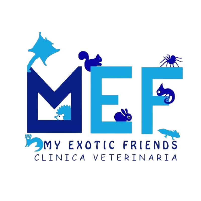 MEFlogo