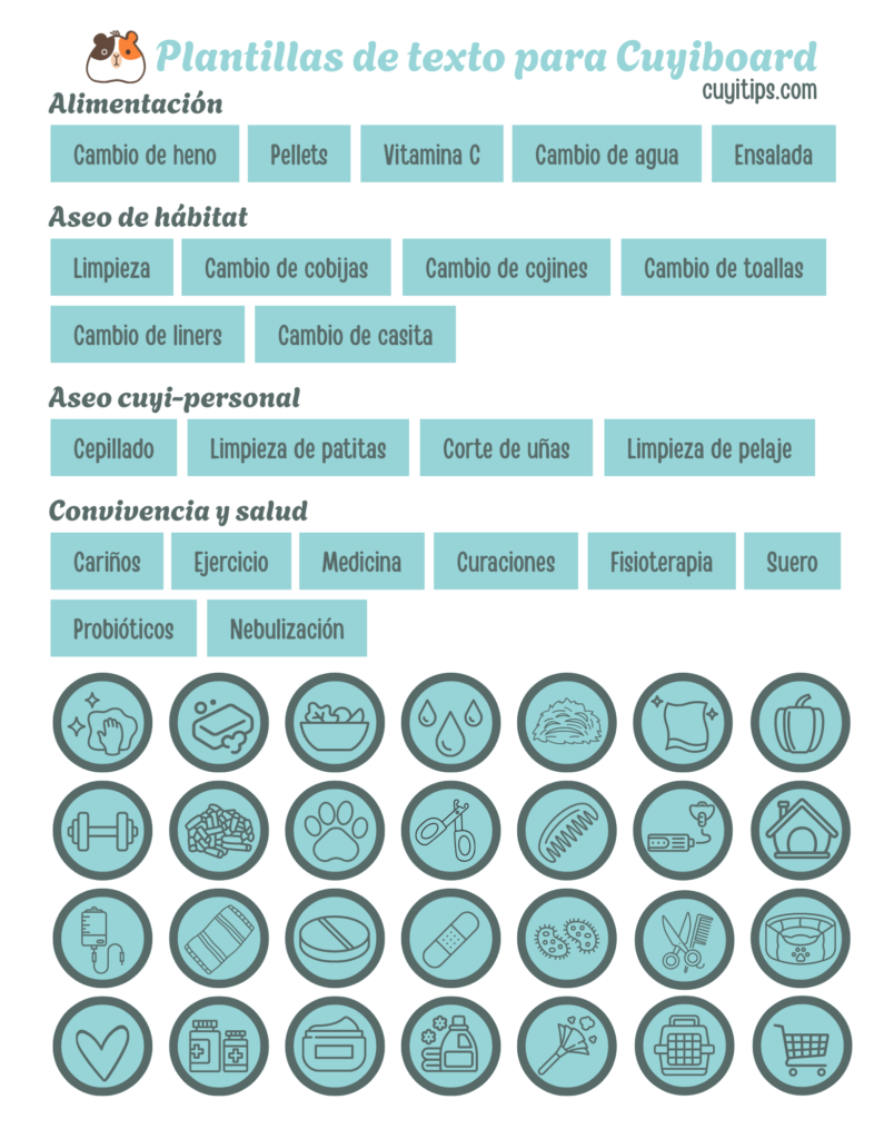 Plantilla 1